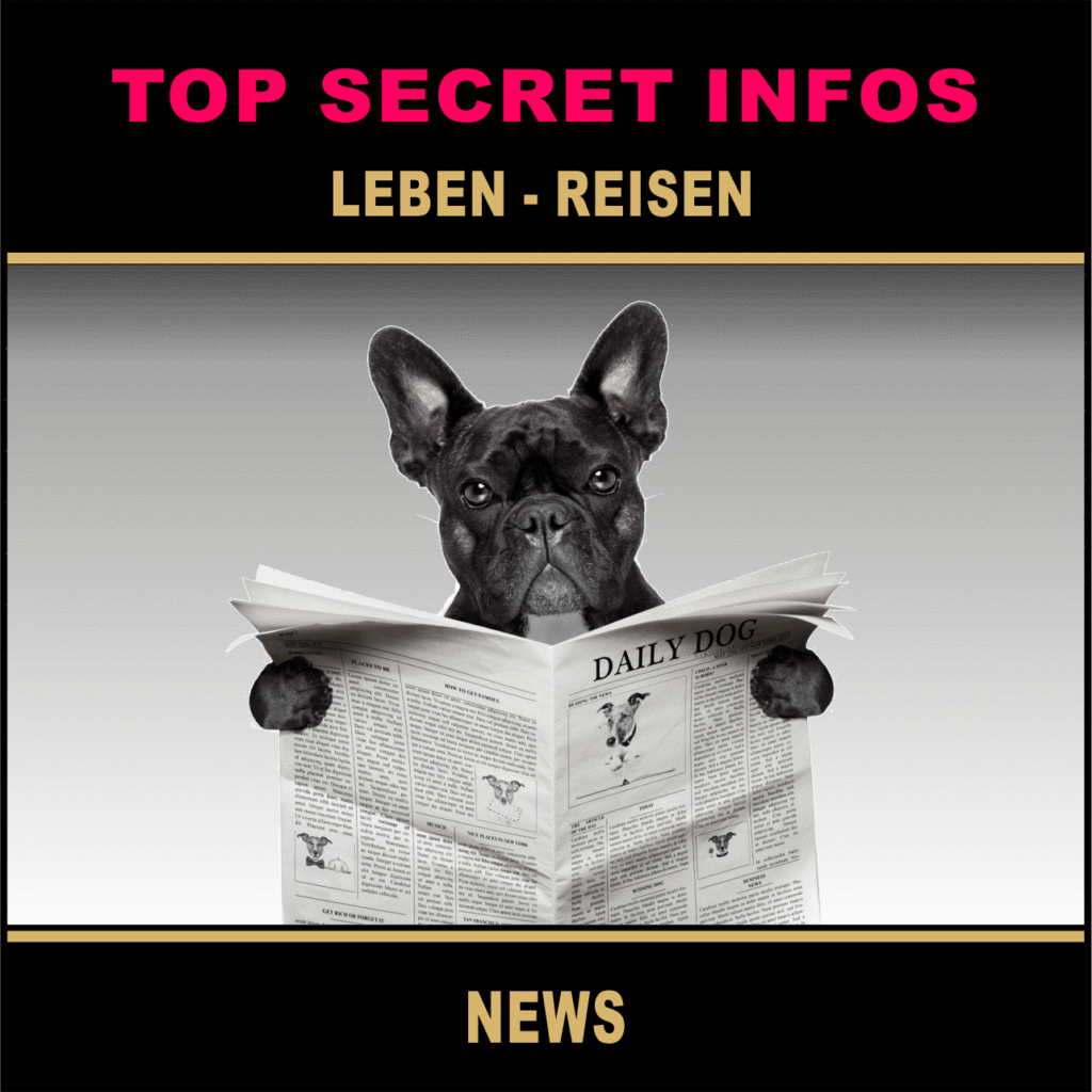2030 Hund - News 3