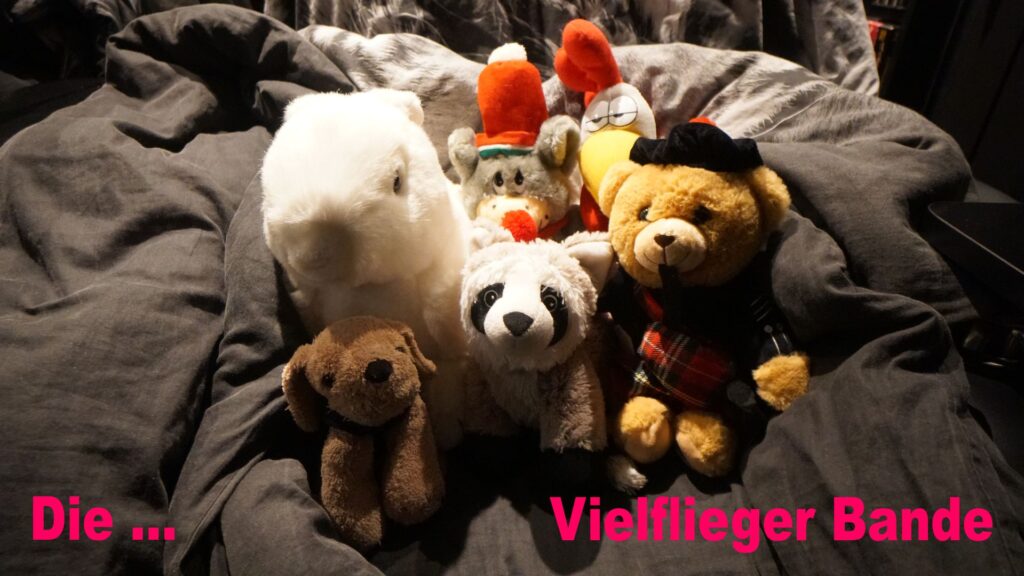 Vielflieger Bande - Foto - JPEG